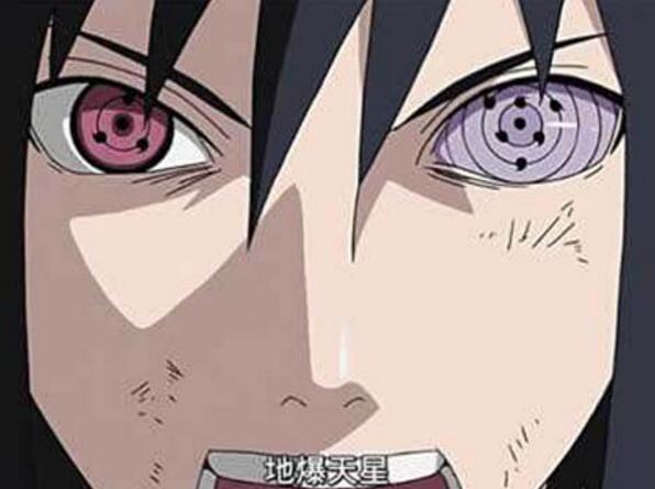 �������ֻ���������