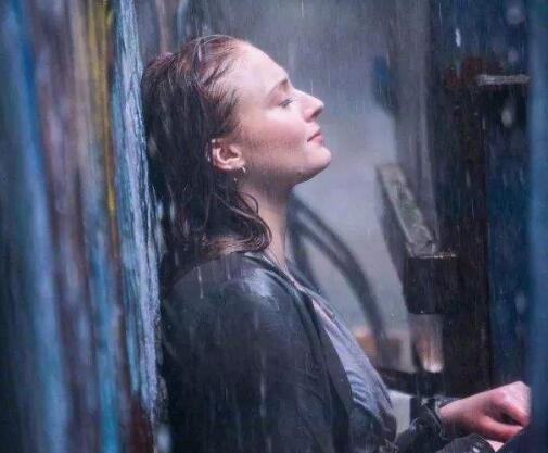 �ڷ����������ʲô