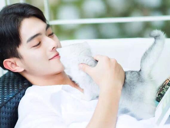 许凯是广东哪里人