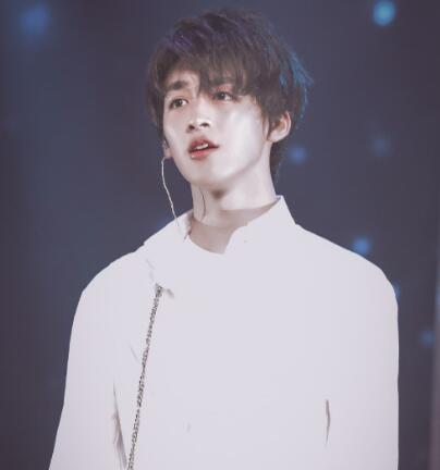 徐一宁就是何洛洛吗