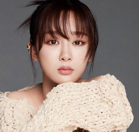 �������ָ�̹���ԭ��