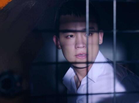 ɽ�²�֪�ĵ���Ҷ����������