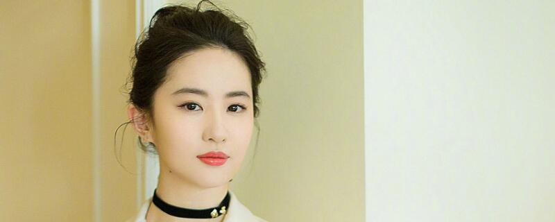 ����ƹ���Ϊʲô������