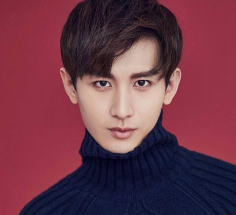 成毅李宏毅是一个人吗