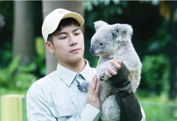 ���ζ��������