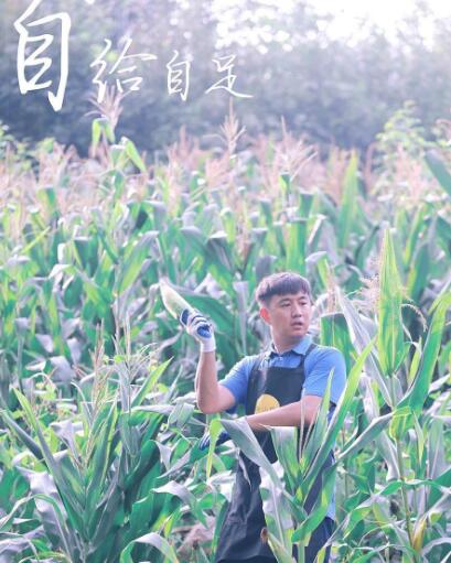 ����������������ص�