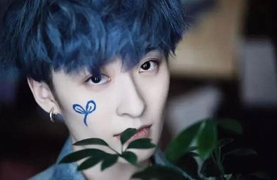 ���������ĸ�����