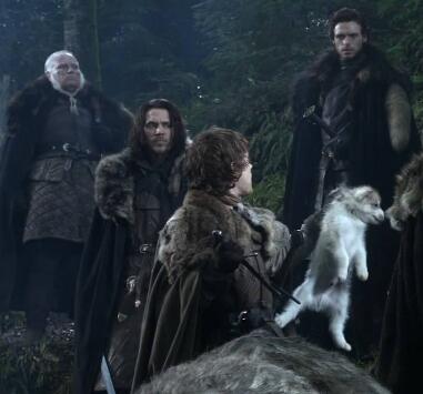 Ȩ������Ϸ��֮����˭