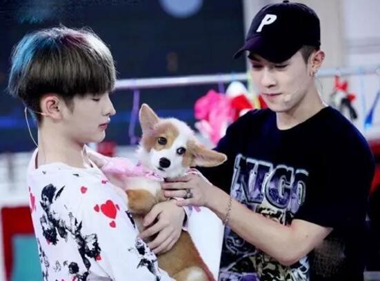 �����Ϻ�����幹�ϵ