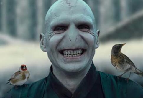 伏地魔的七个魂器是什么