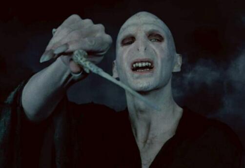 伏地魔的七个魂器是什么