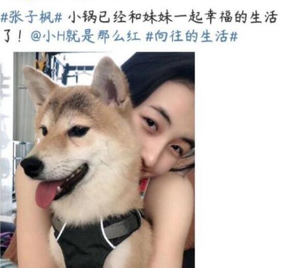 ����ư��ֱ�˭����