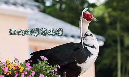 �����˹�ʵ���ʲô��