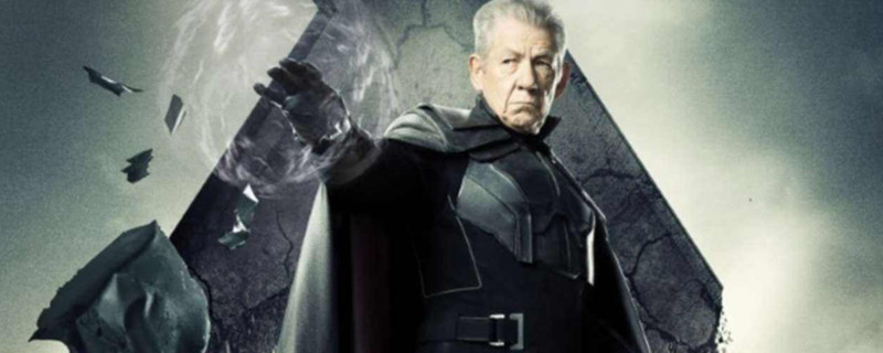 万磁王有几个孩子