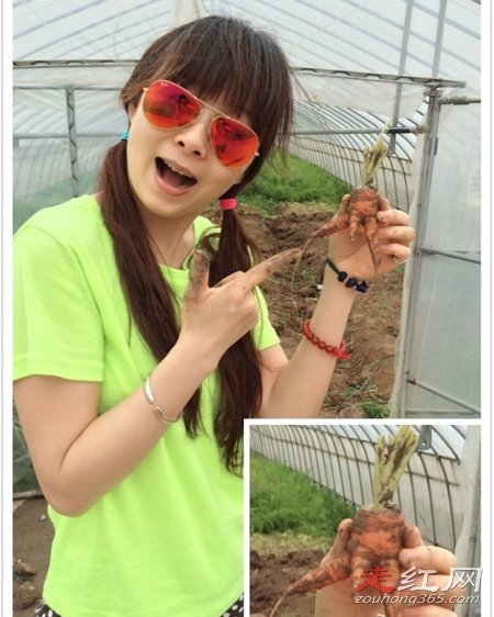 ��������誸������ϼ�� ���ֵĽ�Ŀ������Щ