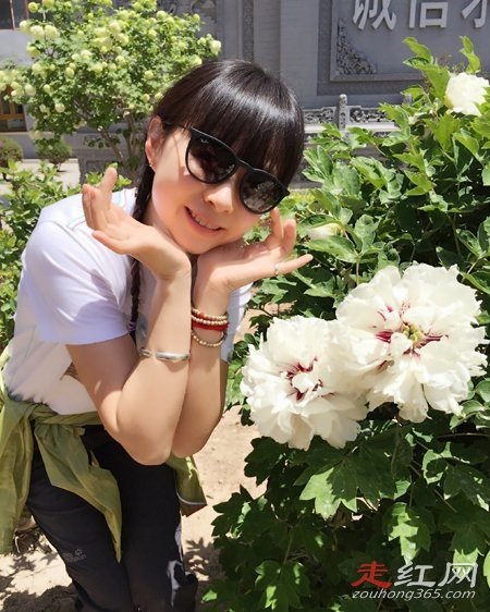 ��������誸������ϼ�� ���ֵĽ�Ŀ������Щ