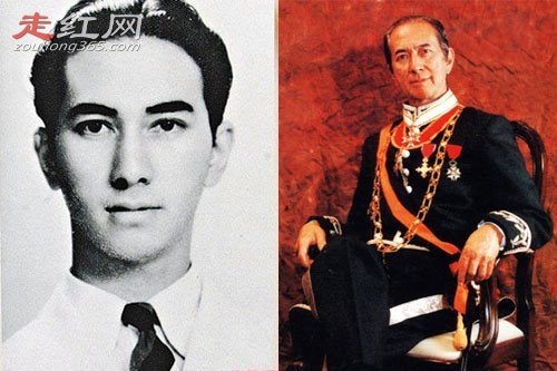 何鸿燊四房人物关系图 赌王女儿何超欣个人资料