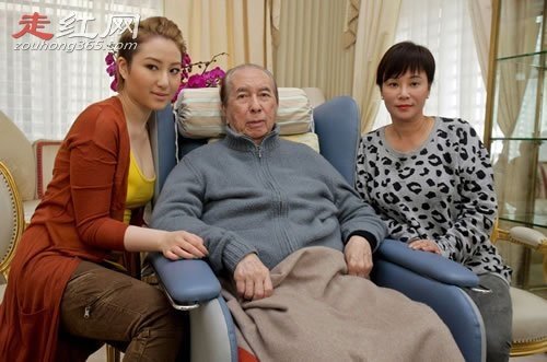 何鸿燊四房人物关系图 赌王女儿何超欣个人资料