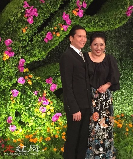 ��ǿ����ʲô����ʲô��ͷ ǰ�޶������С��ʲô��ϵ