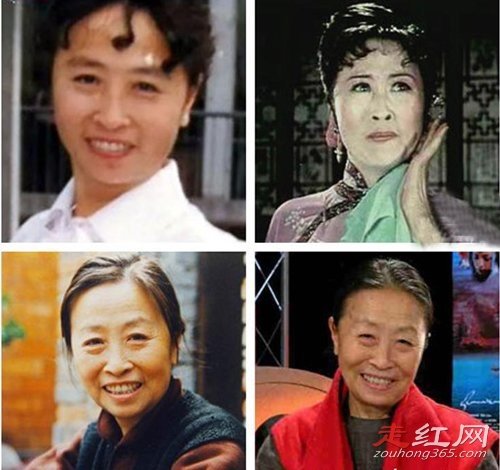 ���ٻ���������������Ƭ ���˲Ʋ������Ƕ���