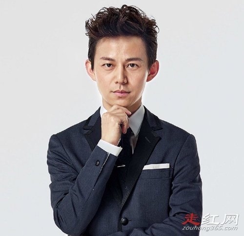 王茂蕾与何炅什么关系 老婆张艳个人资料简介