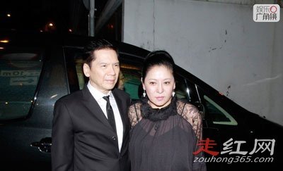 向华强陈岚的爱情故事 年轻的照片是什么样子的