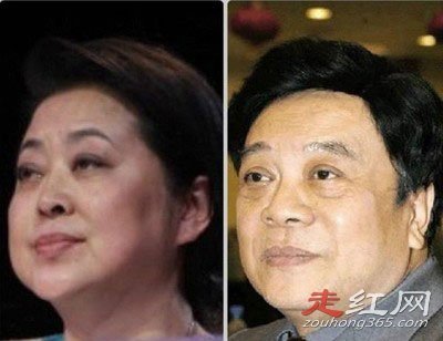 ���������Ƽ�������� ������ʲô��ϵ