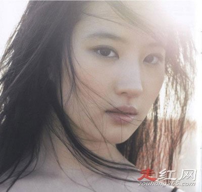 ��ʥ���������Ϊʲô��ô�� ���ճ��ú���