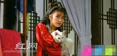 ��ƿ������������������� �Ѿ�����������Ȧ