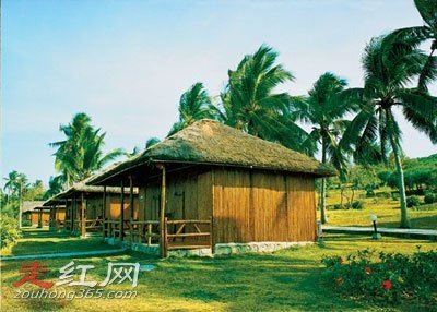 ���ַ��ˢ����ı��� �������Ϊɶ��ô��