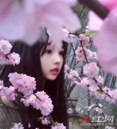 ���������ö�����ʷ����Щ �����ο���ҹ�¼���ʲô