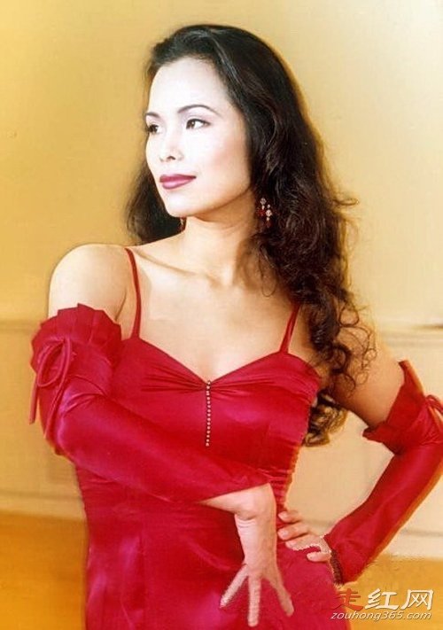 �����й������ĺ�� �������ָܻ���