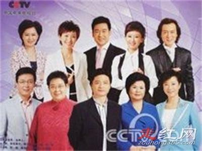 央视主持人工资前10排行榜 多少钱一个月