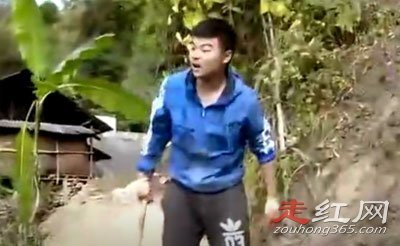 ���μ�Ϊɶ��ͣ�� �������˵ĺ����Լ������ݵ�һ��