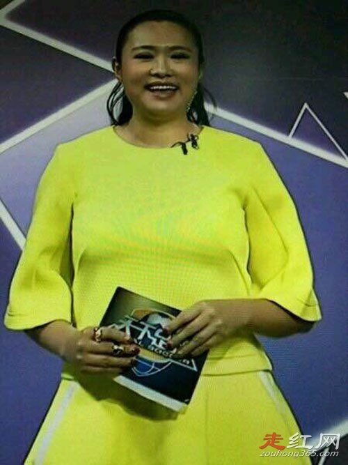 �����������������ϼ�� ��������ָ�������Ƶϻ���