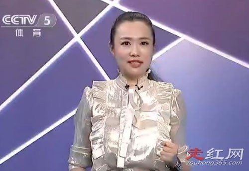 �����������������ϼ�� ��������ָ�������Ƶϻ���