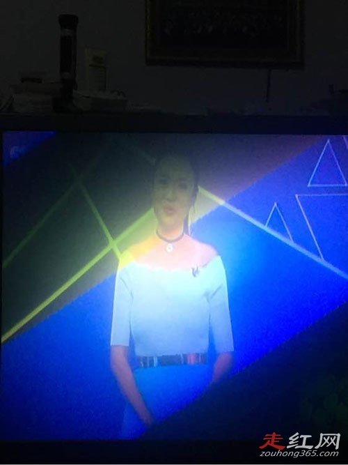 �����������������ϼ�� ��������ָ�������Ƶϻ���