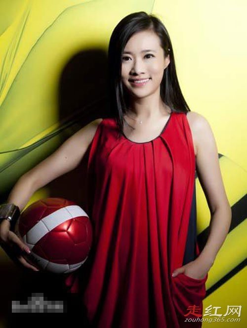 �����������������ϼ�� ��������ָ�������Ƶϻ���