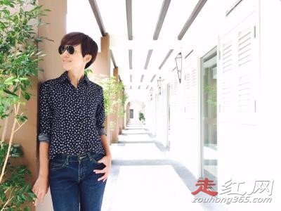 ŷ���ĵ��������ϼ�� �Ϲ�����ľ��˭