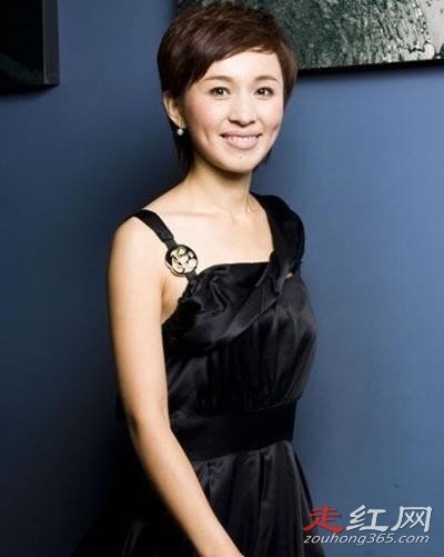 ŷ���ĵ��������ϼ�� �Ϲ�����ľ��˭