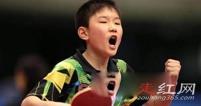 张本智和为什么加入日本国籍 他是中国人吗