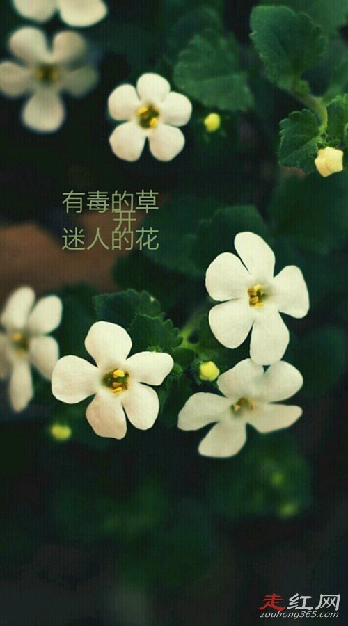 ������С��ļ������� ��������������ƽ�