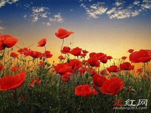 ������С��ļ������� ��������������ƽ�