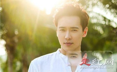 �����谸��ϸ�ڹ��� ��ʵҲ��һ�ֲ²����