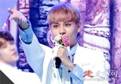 ������������ʲô��� Ϊʲôû��swin