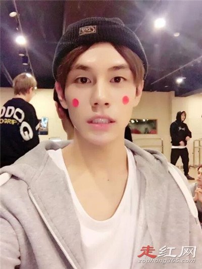 ������������ʲô��� Ϊʲôû��swin