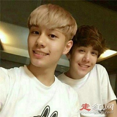 ������������ʲô��� Ϊʲôû��swin