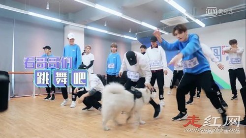 ����ũ�������Ͻ��� ΢������ũũ��ô����