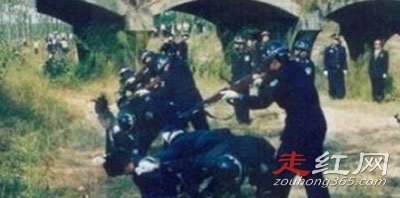 ����ү�����ͼƬ���������� ����ʮ���ܽ�ʲô����