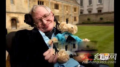 ����˹����������30����Ƶ���� �ǲ��Ǻ�����������ϵ